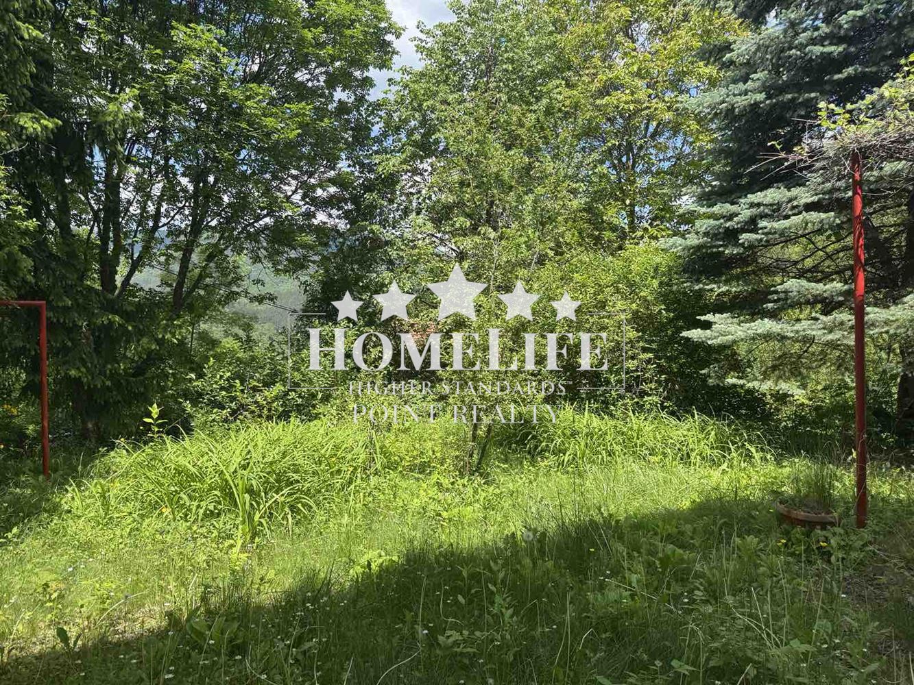 Villa in the forest for sale near the village of Rebrovo, Svoge Municipality-0 Villa in the forest for sale near the village of Rebrovo, Svoge Municipality - 0